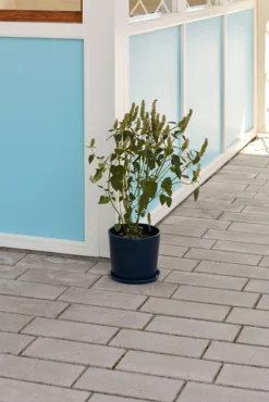 Hay Pot Botanical Family XL Ø22 Cm 7 Hay Pot Botanical Family XL Ø22 Cm -Hay Magasin 511220 01 2 EnvironmentImage 36f0c526dd