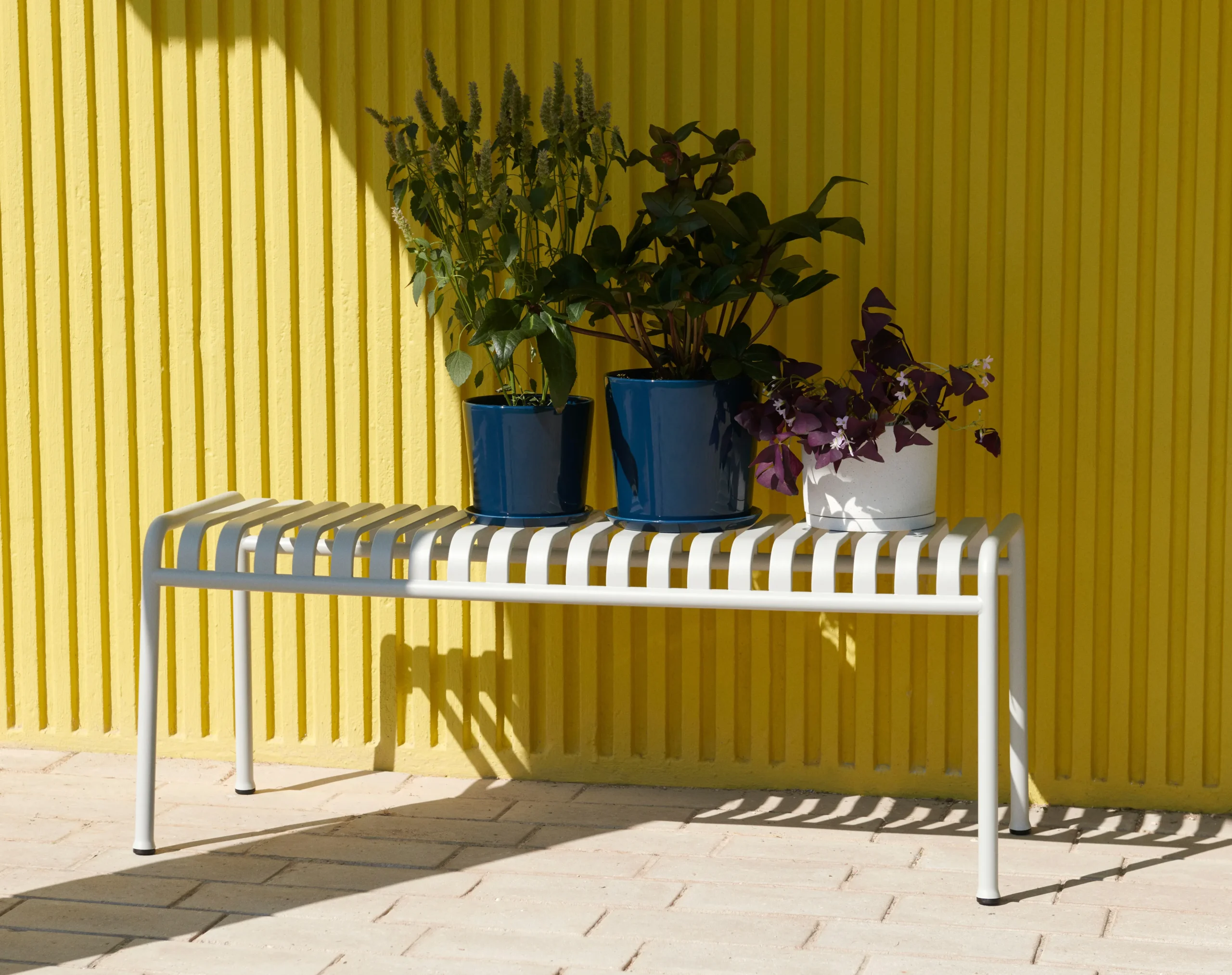 Hay Pot Botanical Family XL Ø22 Cm 5 Hay Pot Botanical Family XL Ø22 Cm – Image 3