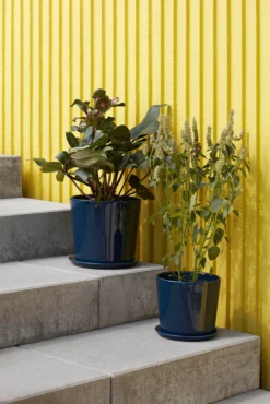 Hay Pot Botanical Family XL Ø22 Cm 9 Hay Pot Botanical Family XL Ø22 Cm -Hay Magasin 511220 01 4 EnvironmentImage eaa0820a8a