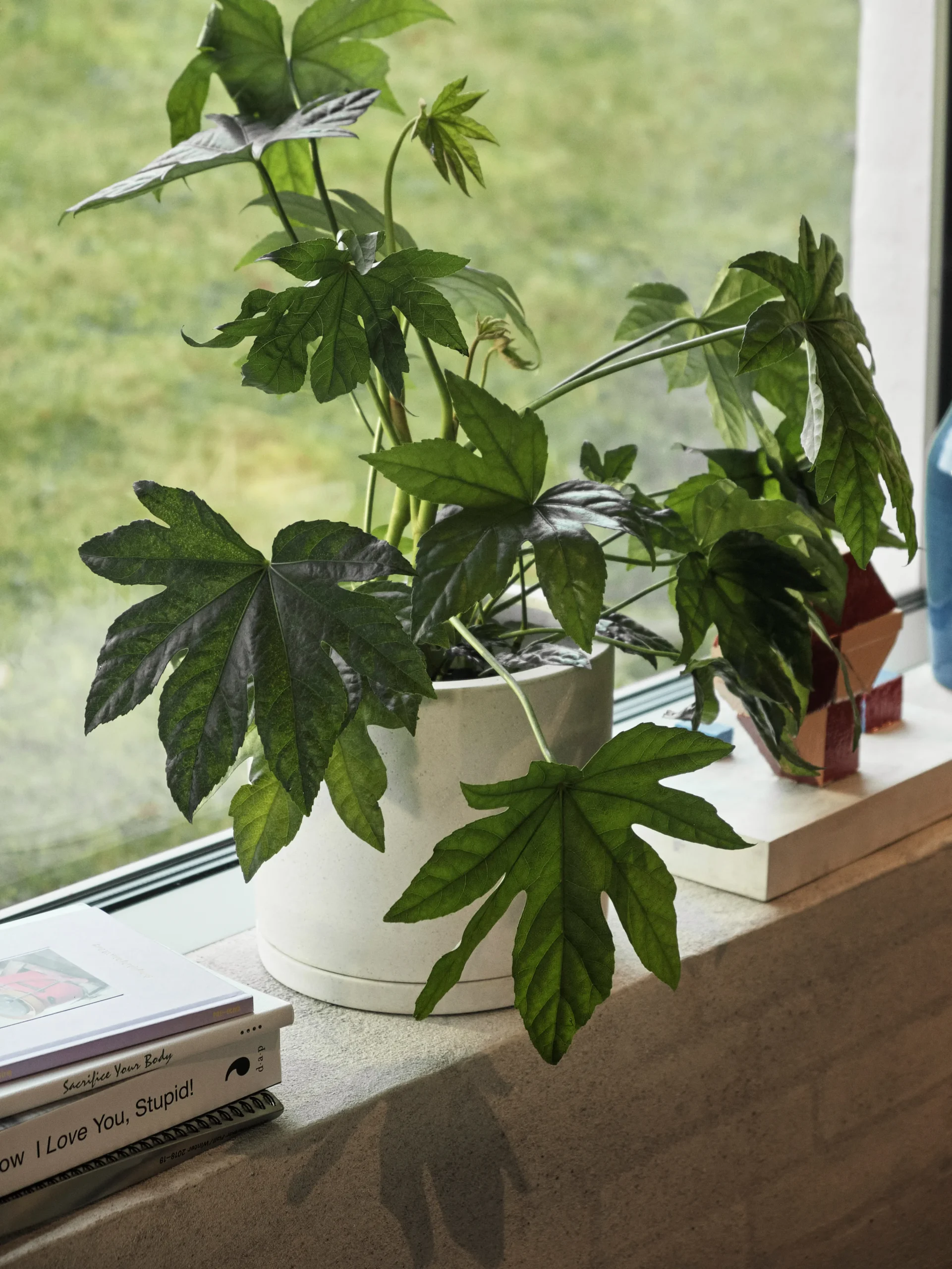 Pot HAY Plant Pot With Saucer L Ø19 Cm 4 Pot HAY Plant Pot With Saucer L Ø19 Cm – Image 2