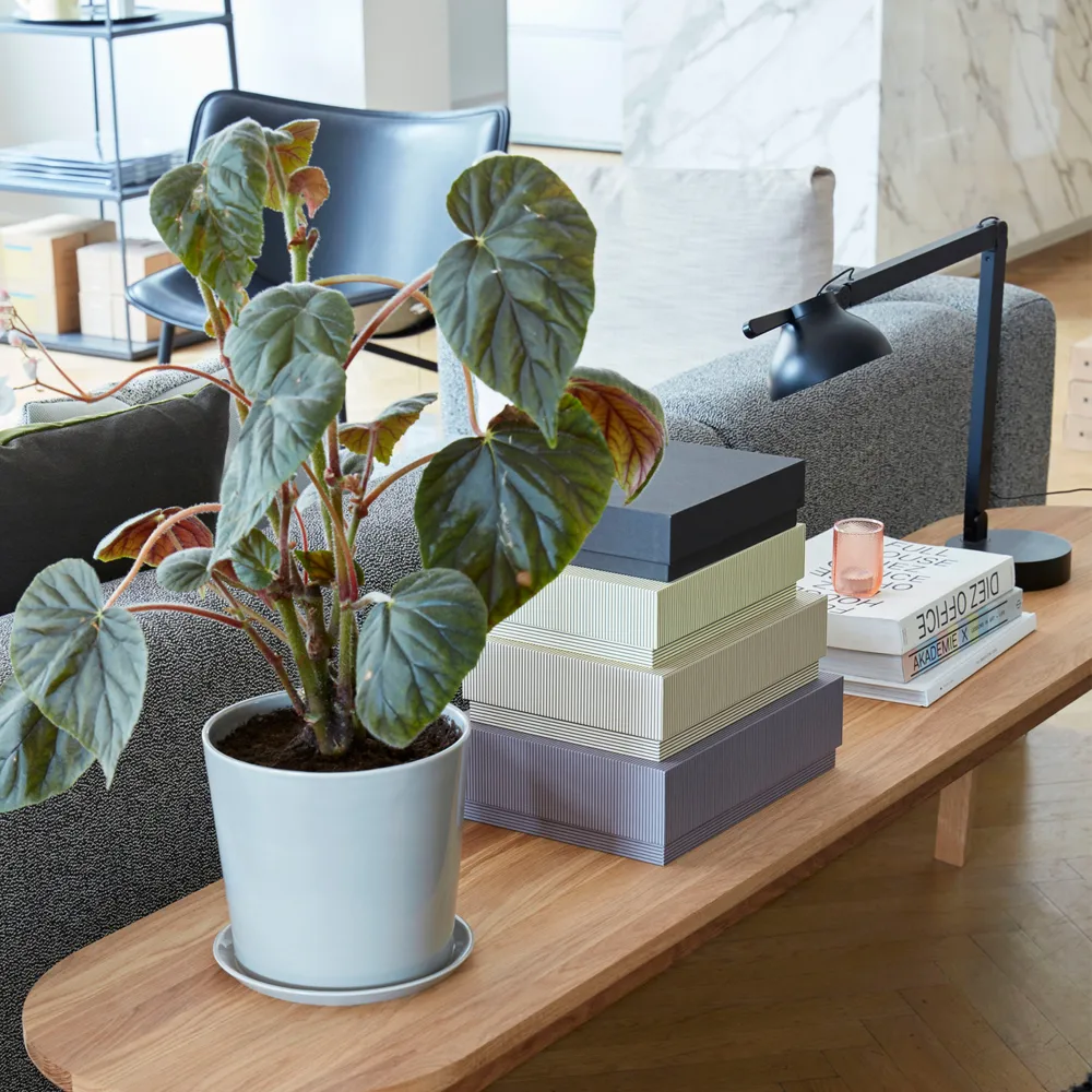 Hay Lampe De Table PC Double Arm 4 Hay Lampe De Table PC Double Arm – Image 2